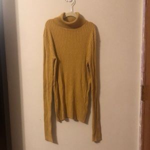 Express Turtleneck/Sweater